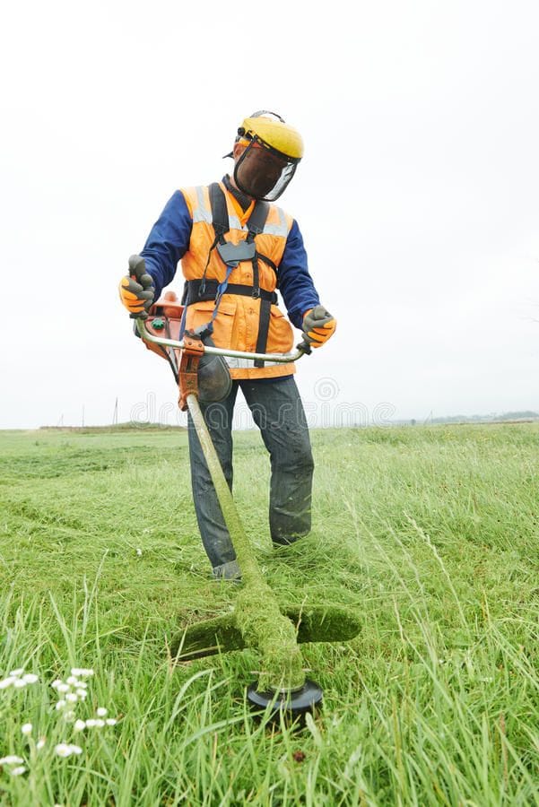 Lawn care and landscaping