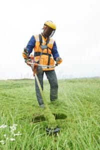 What Does a Facility Management Company Do